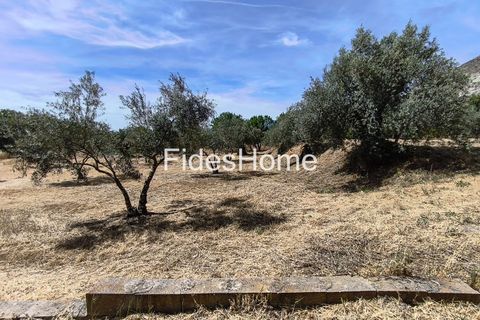 Terra a Niguelas, Granada, Niguelas - € 49.000 | Ref: 111661947 - foto 16