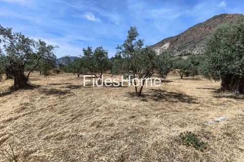 Terra a Niguelas, Granada, Niguelas - € 49.000 | Ref: 111661947 - foto 17