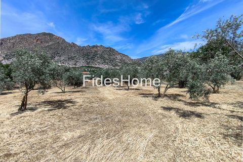 Terra a Niguelas, Granada, Niguelas - € 49.000 | Ref: 111661947 - foto 18