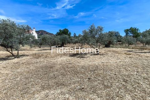 Terra a Niguelas, Granada, Niguelas - € 49.000 | Ref: 111661947 - foto 19