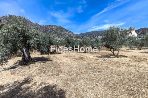 Terra a Niguelas, Granada, Niguelas - € 49.000 | Ref: 111661947 - foto 20