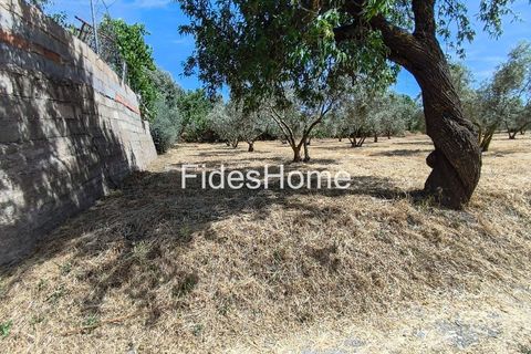 Terra a Niguelas, Granada, Niguelas - € 49.000 | Ref: 111661947 - foto 21