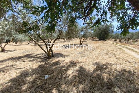 Terra a Niguelas, Granada, Niguelas - € 49.000 | Ref: 111661947 - foto 22