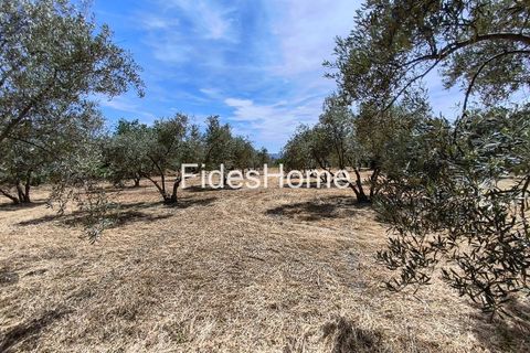 Terra a Niguelas, Granada, Niguelas - € 49.000 | Ref: 111661947 - foto 23
