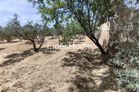 Terra a Niguelas, Granada, Niguelas - € 49.000 | Ref: 111661947 - foto 25