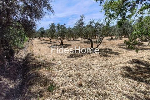 Terra a Niguelas, Granada, Niguelas - € 49.000 | Ref: 111661947 - foto 26