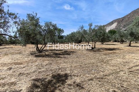 Terra a Niguelas, Granada, Niguelas - € 49.000 | Ref: 111661947 - foto 27