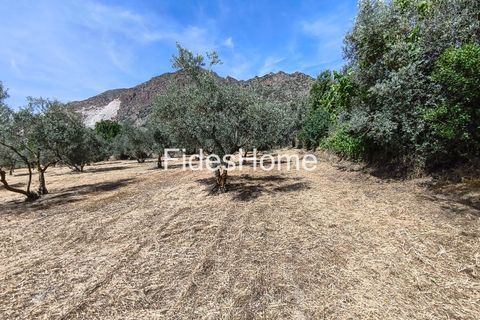 Terra a Niguelas, Granada, Niguelas - € 49.000 | Ref: 111661947 - foto 28