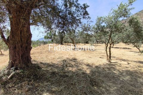Terra a Niguelas, Granada, Niguelas - € 49.000 | Ref: 111661947 - foto 29