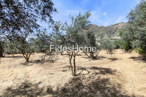 Terra a Niguelas, Granada, Niguelas - € 49.000 | Ref: 111661947 - foto 30