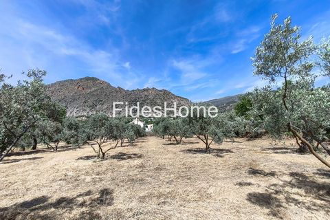 Terra a Niguelas, Granada, Niguelas - € 49.000 | Ref: 111661947 - foto 31