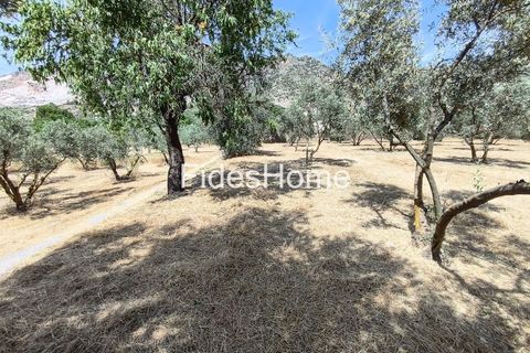 Terra a Niguelas, Granada, Niguelas - € 49.000 | Ref: 111661947 - foto 33