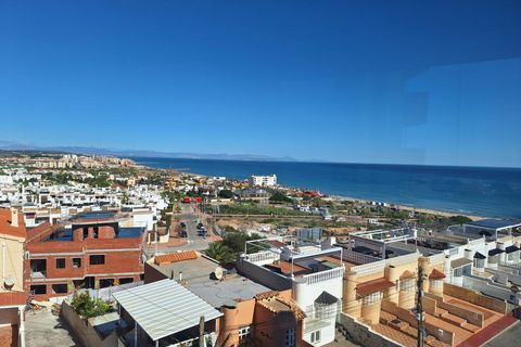 Studio i Torrevieja, Alicante, Torrevieja - € 115 900 | Ref: 35779 - foto 15
