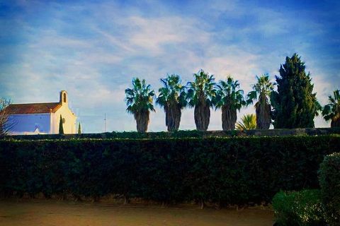 Villa i Calella, Barcelona, Calella - € 420.000 | Ref: EXP14608/8930 - foto 4