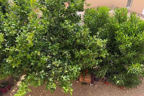 Rækkehus i Calpe, Alicante, Calpe - € 285.000 | Ref: MocadiC-0037/9775 - foto 23