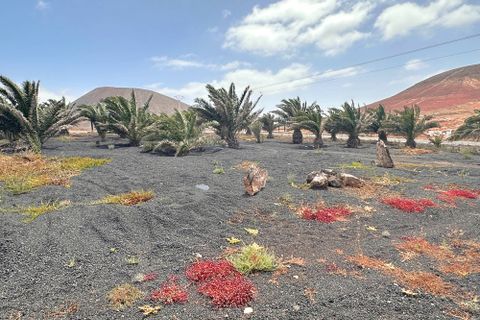 Helårsgrund i Tindaya, Fuerteventura, Tindaya - € 90.000 | Ref: FV633 - foto 9