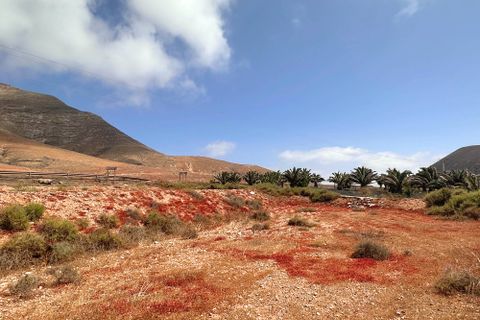 Helårsgrund i Tindaya, Fuerteventura, Tindaya - € 90.000 | Ref: FV633 - foto 2