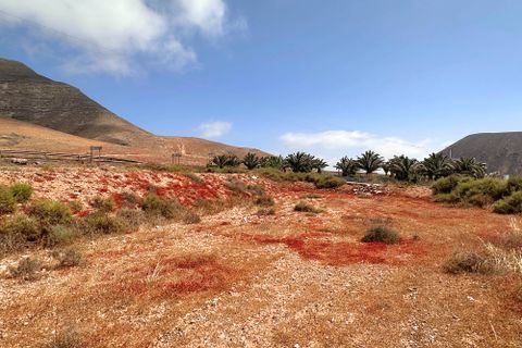 Helårsgrund i Tindaya, Fuerteventura, Tindaya - € 90.000 | Ref: FV633 - foto 1