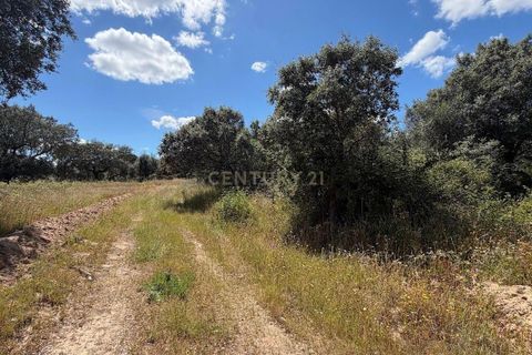 Villa i Crato, Portalegre, Crato - € 18.000 | Ref: C0409-02070 - foto 5
