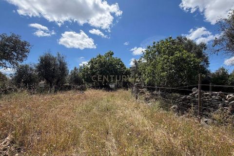 Villa i Crato, Portalegre, Crato - € 18.000 | Ref: C0409-02070 - foto 6