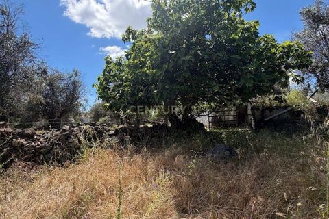 Villa i Crato, Portalegre, Crato - € 18.000 | Ref: C0409-02070 - foto 8