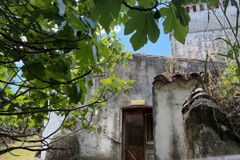 Villa i Crato, Portalegre, Crato - € 18.000 | Ref: C0409-02070 - foto 11