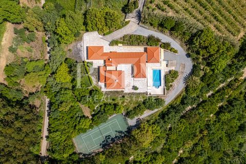 Villa i Obidos, Leiria, Obidos - € 1.350.000 | Ref: BSPM_461 - foto 3