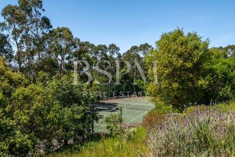 Villa i Obidos, Leiria, Obidos - € 1.350.000 | Ref: BSPM_461 - foto 6