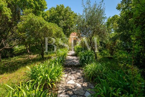 Villa i Obidos, Leiria, Obidos - € 1.350.000 | Ref: BSPM_461 - foto 32
