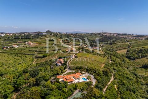 Villa i Obidos, Leiria, Obidos - € 1.350.000 | Ref: BSPM_461 - foto 35