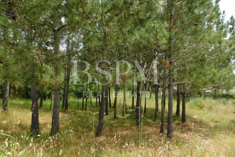 Villa i Foz do Arelho, Leiria, Foz do Arelho - € 600.000 | Ref: BSPM_515 - foto 30