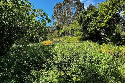 Byhus i Maia, Porto, Maia - € 72.500 | Ref: 11398 - foto 4