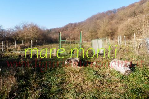 Villa a Savona, Savona, Savona - € 150.000 | Ref: 4097 - foto 12