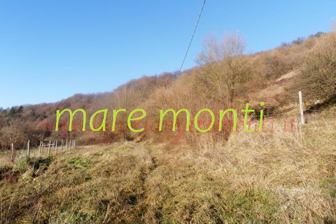 Villa a Savona, Savona, Savona - € 150.000 | Ref: 4097 - foto 13