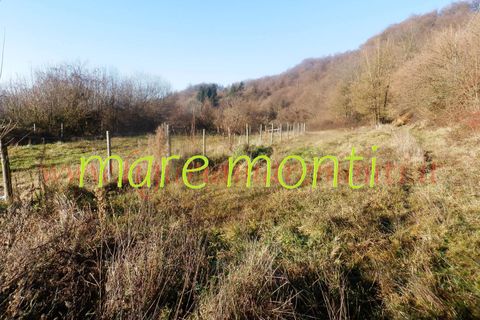 Villa a Savona, Savona, Savona - € 150.000 | Ref: 4097 - foto 15