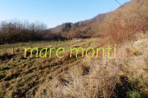 Villa a Savona, Savona, Savona - € 150.000 | Ref: 4097 - foto 16