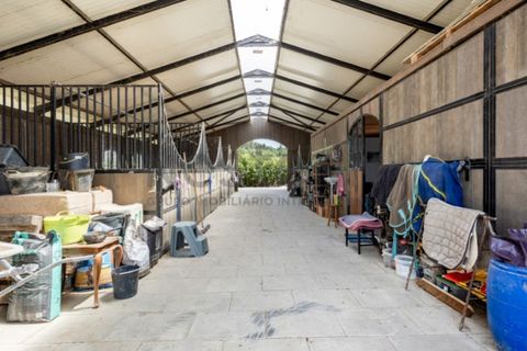 Villa i Lourinha, Lisbon, Lourinha - € 1.250.000 | Ref: N115LNH820 - foto 41