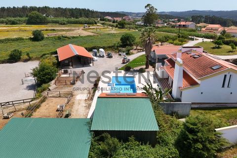 Villa i Lourinha, Lisbon, Lourinha - € 1.250.000 | Ref: N115LNH820 - foto 47