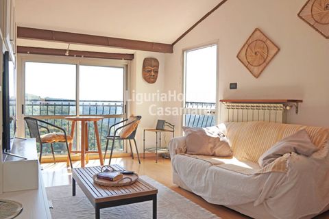 Villa i Pietrabruna, Imperia, Pietrabruna - € 240.000 | Ref: 7Q32 - foto 2