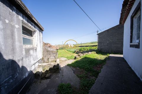Byhus i Nordeste, Sao Miguel, Nordeste - € 143.000 | Ref: ONE401768-33 - foto 3
