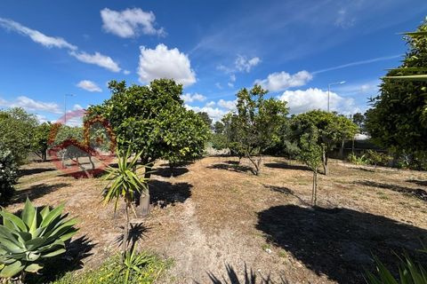 Villa i Quinta do Conde, Setubal, Quinta do Conde - € 750.000 | Ref: 4971JC4 - foto 32