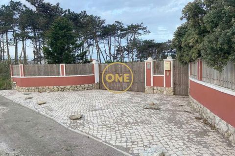 Farm i Sintra, Lisbon, Sintra - € 1.300.000 | Ref: ONE422032-1 - foto 19