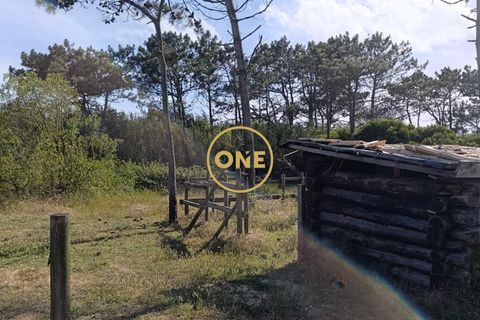 Farm i Sintra, Lisbon, Sintra - € 1.300.000 | Ref: ONE422032-1 - foto 21
