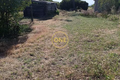 Farm i Sintra, Lisbon, Sintra - € 1.300.000 | Ref: ONE422032-1 - foto 22