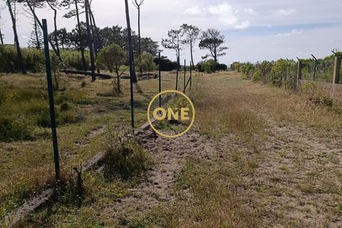 Farm i Sintra, Lisbon, Sintra - € 1.300.000 | Ref: ONE422032-1 - foto 23