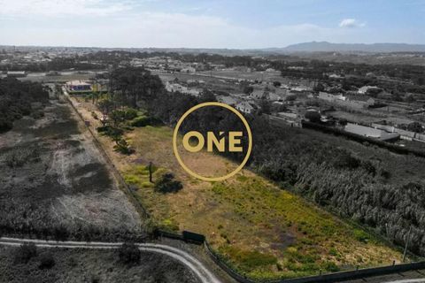 Farm i Sintra, Lisbon, Sintra - € 1.300.000 | Ref: ONE422032-1 - foto 24
