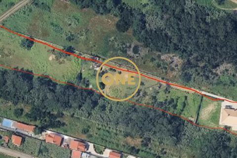 Farm i Sintra, Lisbon, Sintra - € 1.300.000 | Ref: ONE422032-1 - foto 25