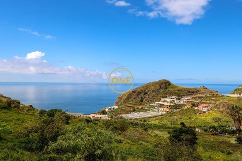 Helårsgrund i Ribeira Brava, Madeira, Ribeira Brava - € 800.000 | Ref: ONE361628-154 - foto 4