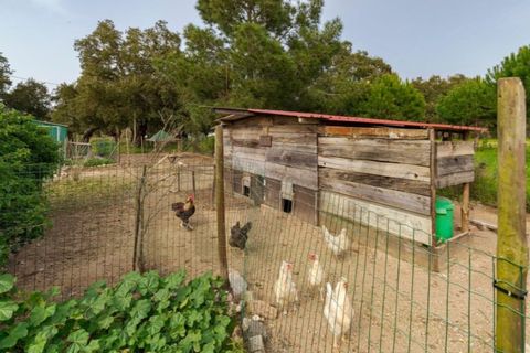 Gård i Santo Andre, Setubal, Santo Andre - € 1 250 000 | Ref: KWPT-032378 - foto 30