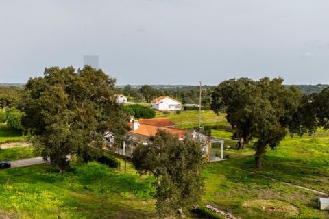 Gård i Santo Andre, Setubal, Santo Andre - € 1 250 000 | Ref: KWPT-032378 - foto 35